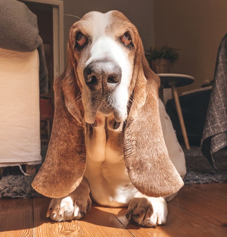 06-16-49-1622728196376433330