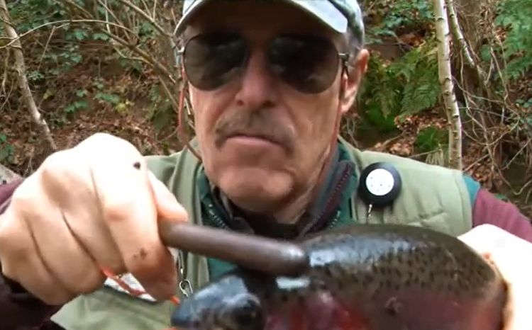 06-16-58-16237655271276067744