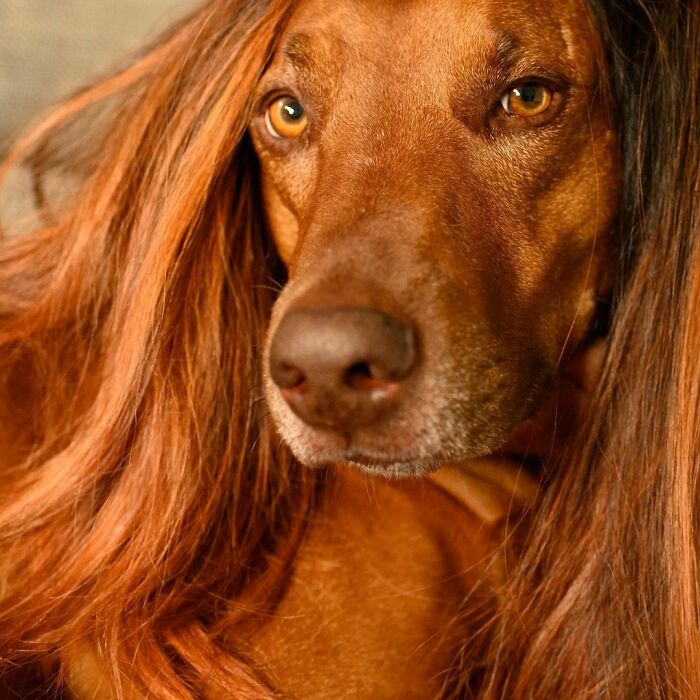 06-17-26-1624372009223448062