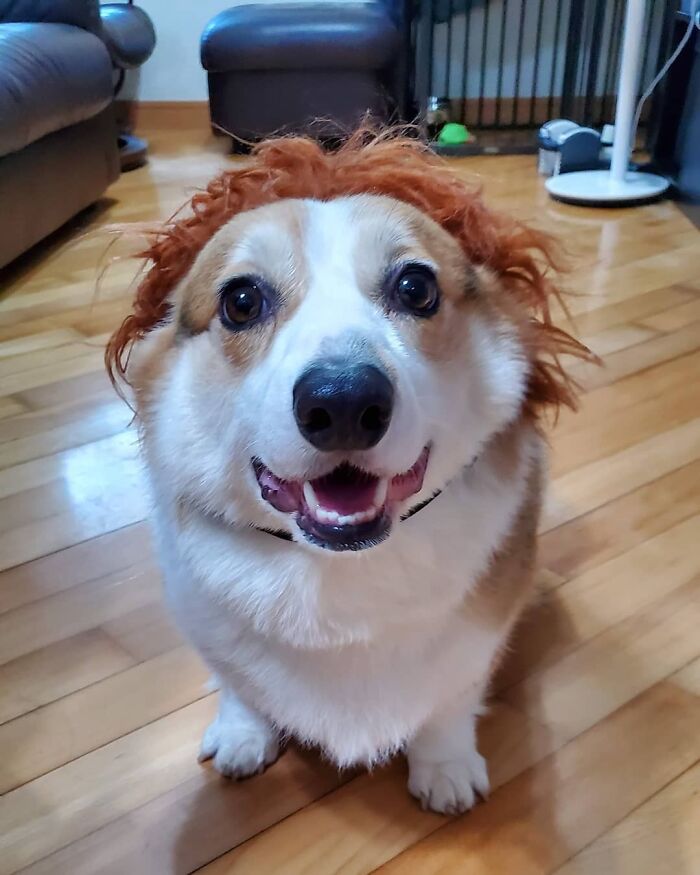 06-17-27-1624372078696248160