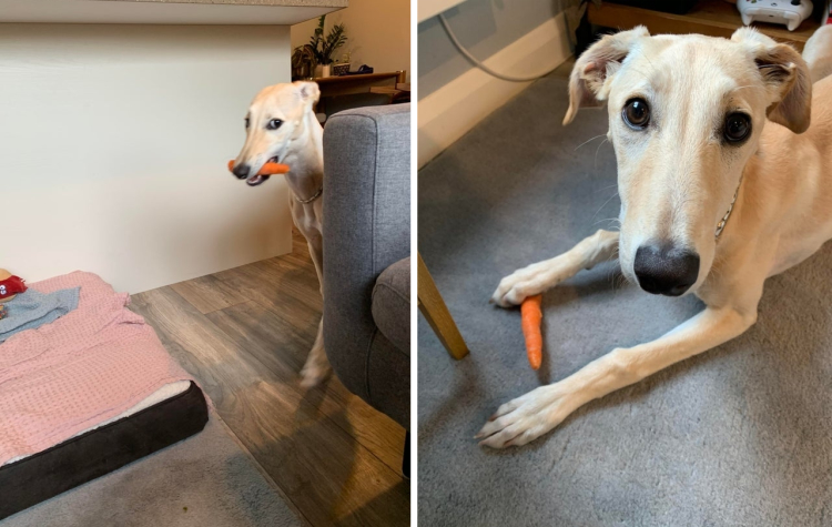 06-18-02-16245469652084722443