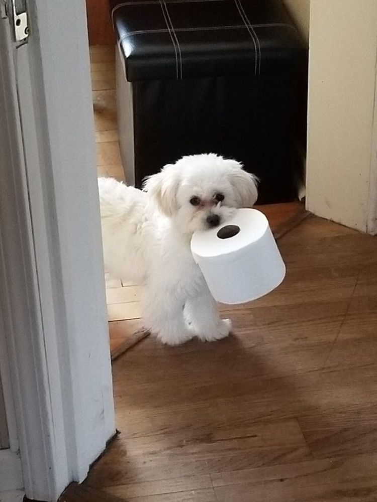 06-18-07-1624547267668281121