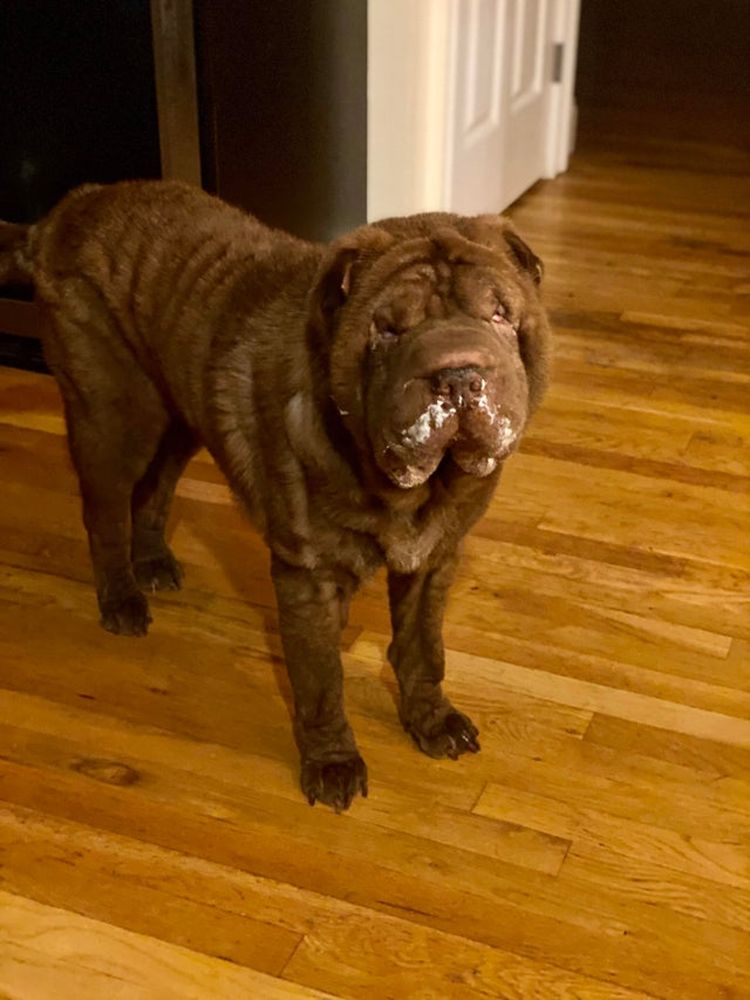 06-18-07-1624547271346731709