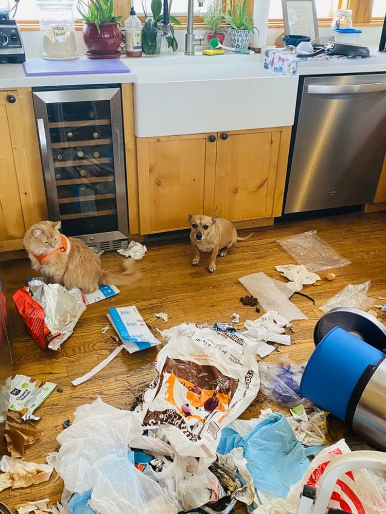 06-18-07-16245472751765113111