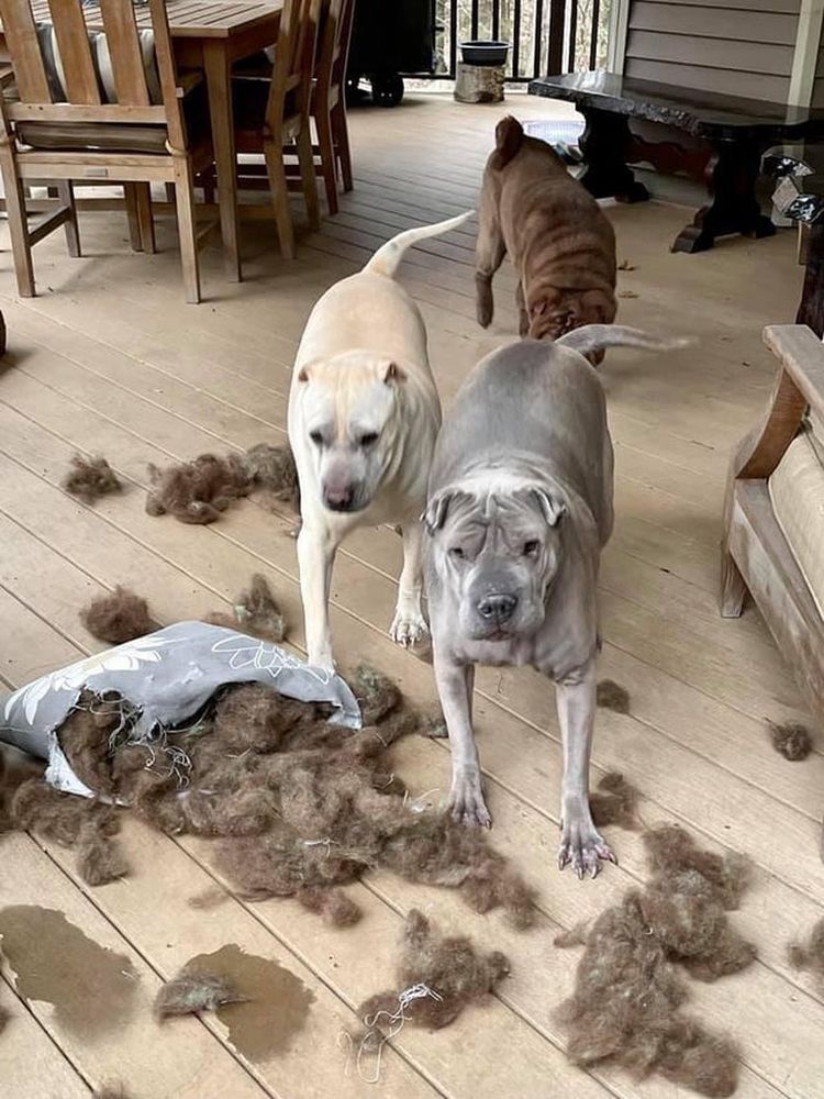 06-18-07-16245472781220498508