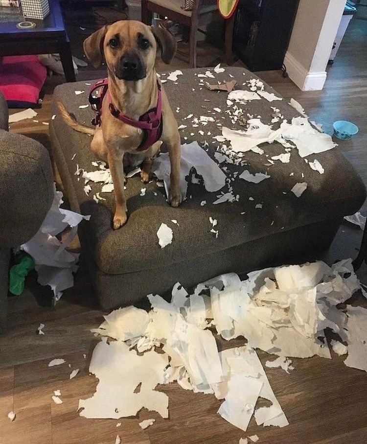 06-18-08-1624547281613652323