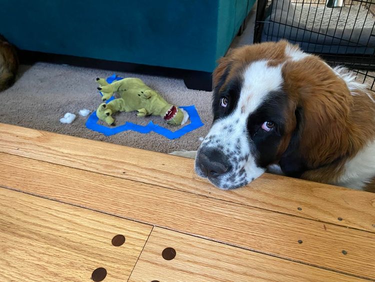 06-18-08-1624547287148815697