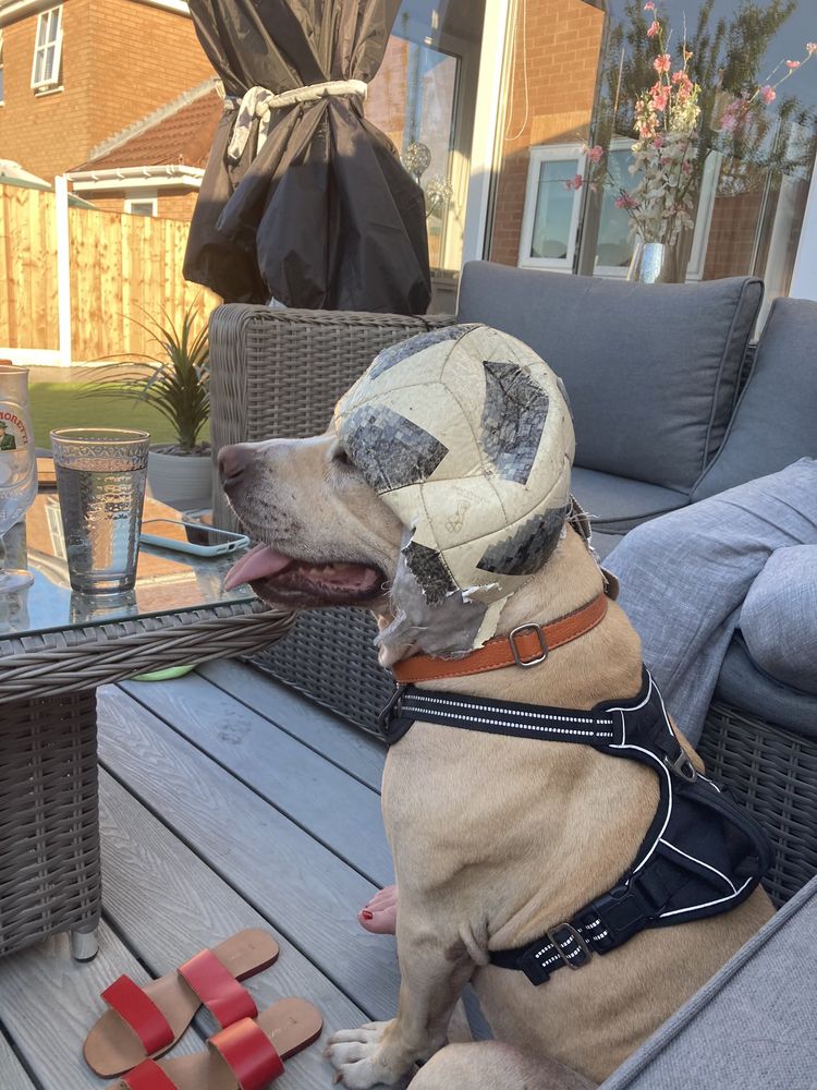 06-18-08-1624547291562120150