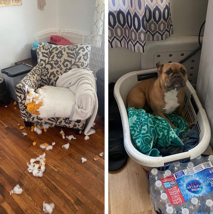 06-18-08-1624547294931620797