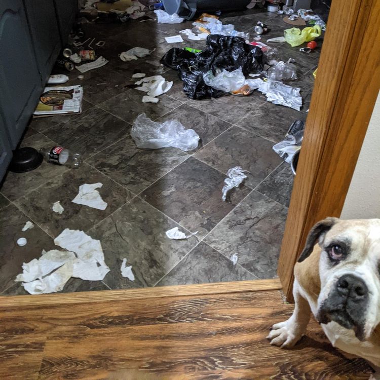 06-18-08-16245472972035146711