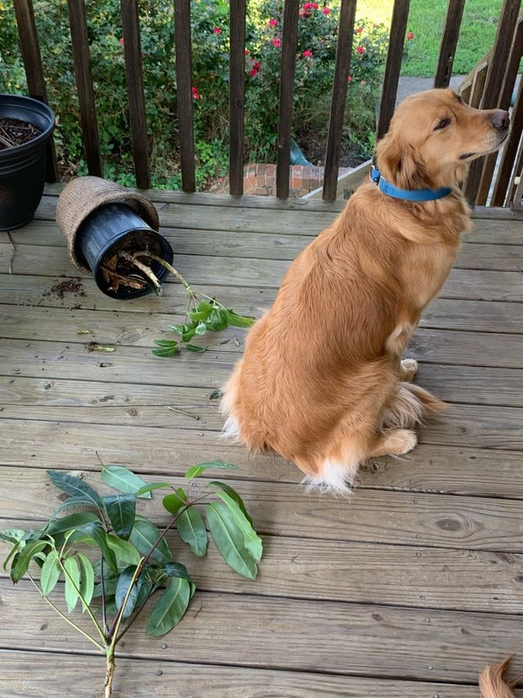 06-18-08-16245473011384035391