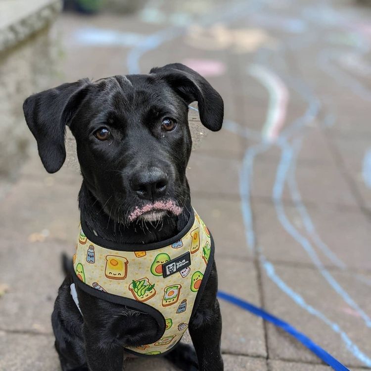 06-18-08-16245473081997474534