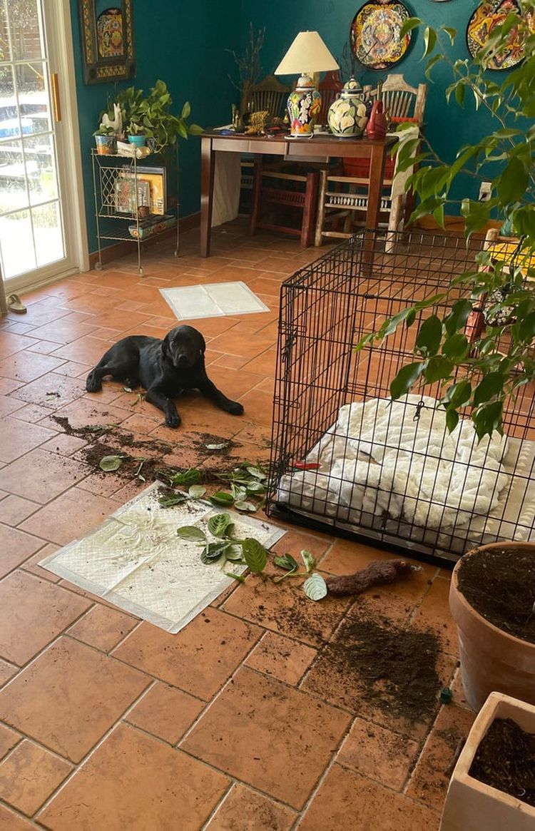 06-18-08-1624547312820999767