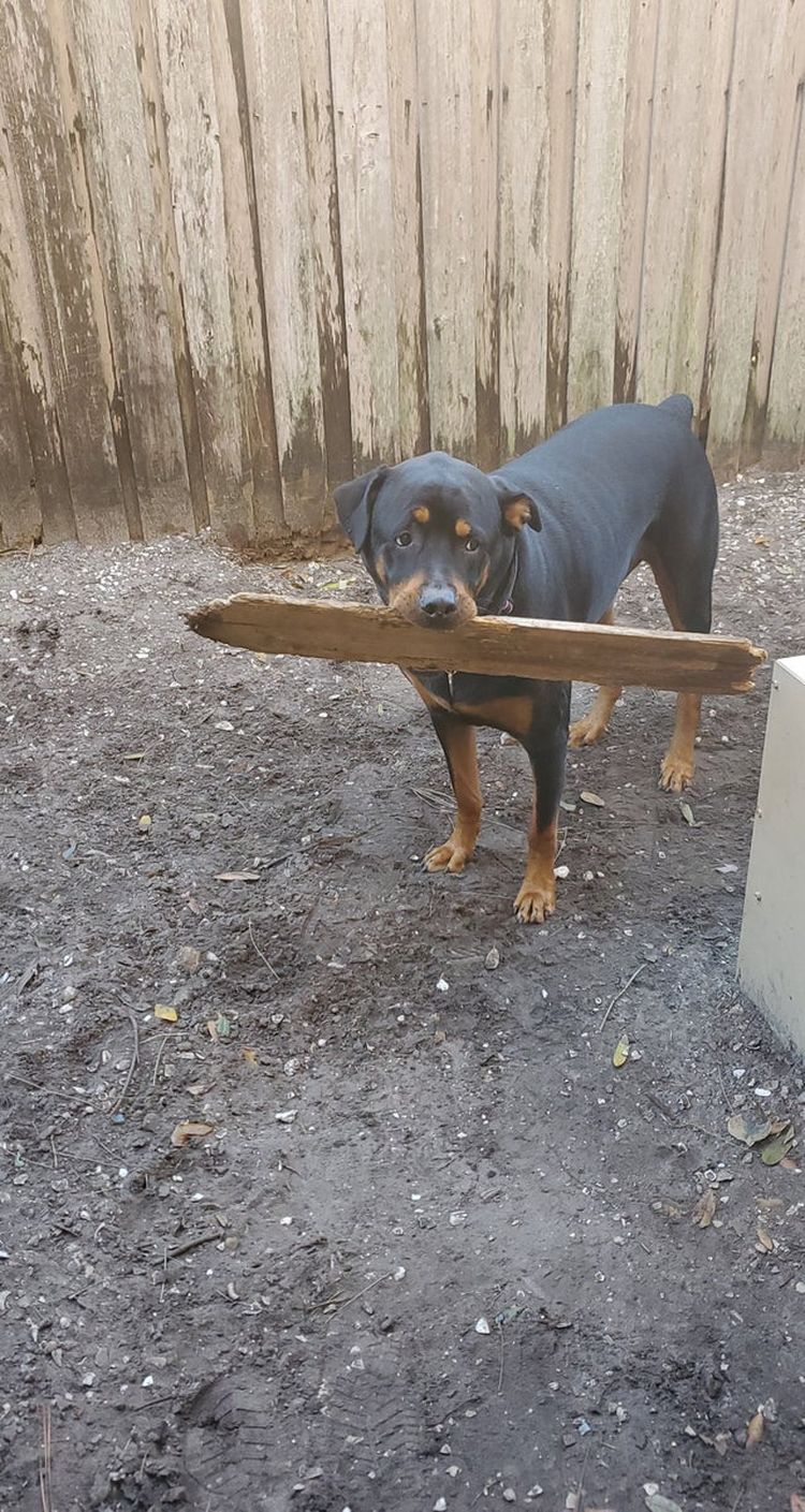 06-18-08-16245473151384042987