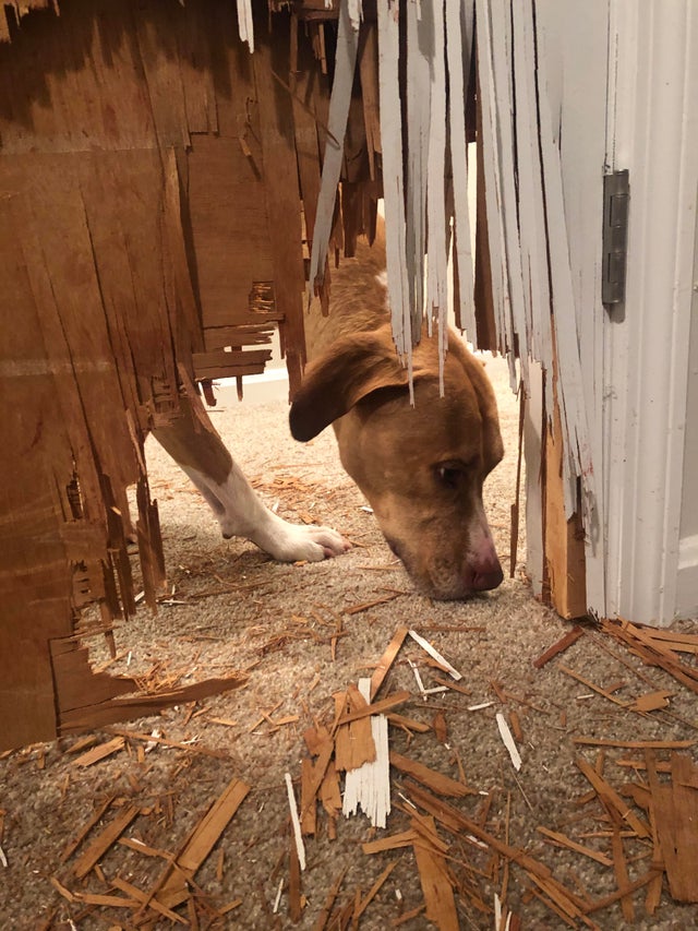 06-18-09-1624547350478156972