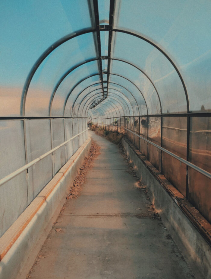 06-18-21-1624634495751450070