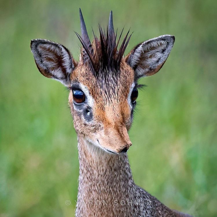 06-19-11-16243783061046230899