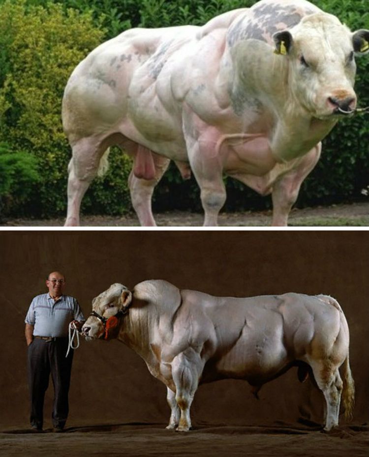 06-19-11-1624378311908033911