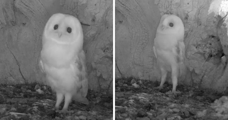 06-19-11-1624378312102804460