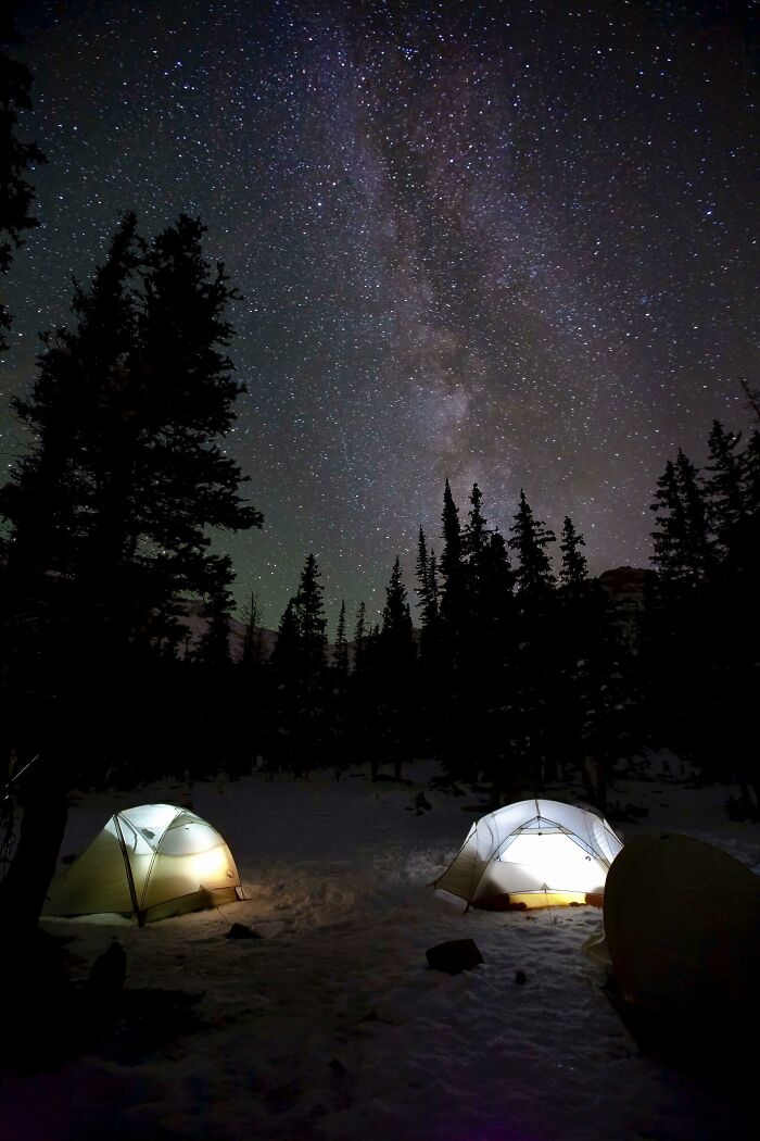 06-20-03-16239494171392491526