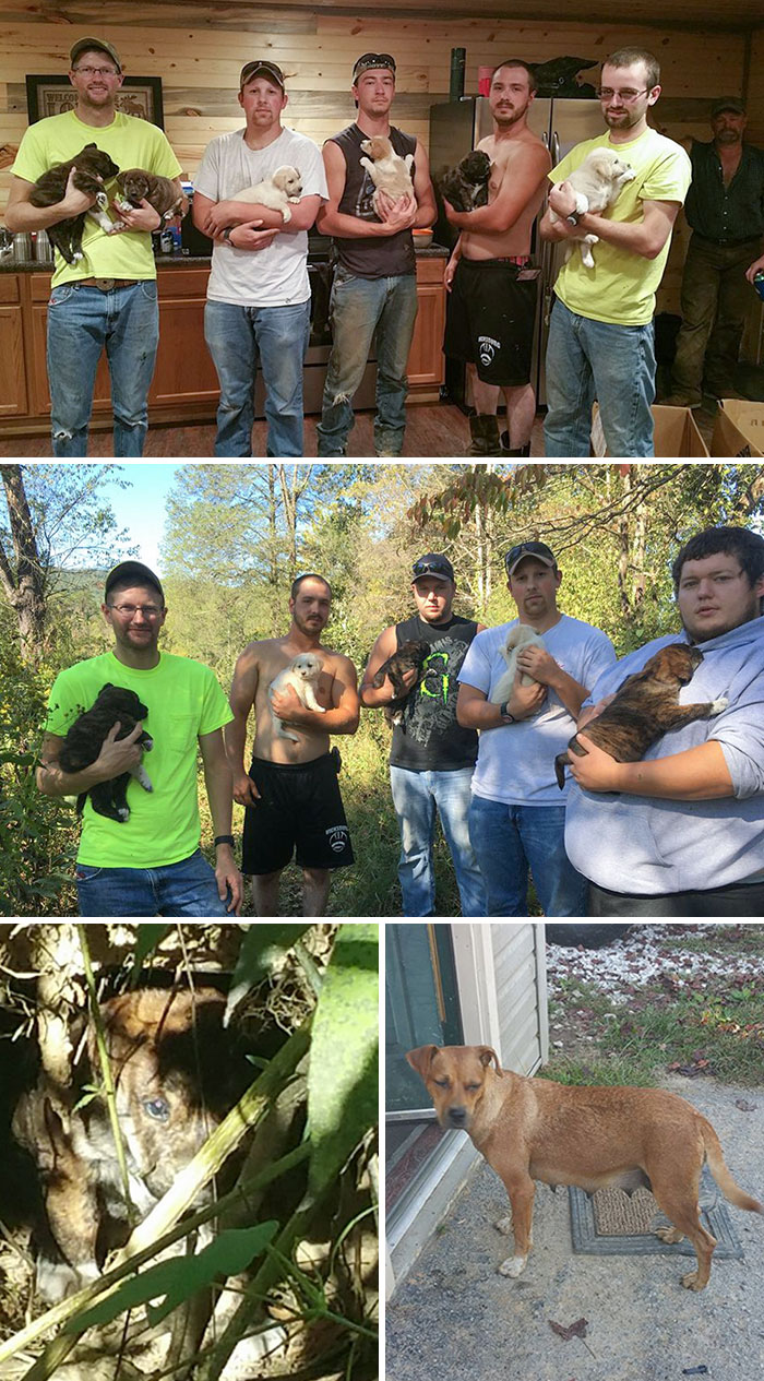 06-20-03-162394941770563510