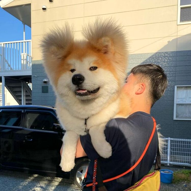 06-20-14-16249004721942370428