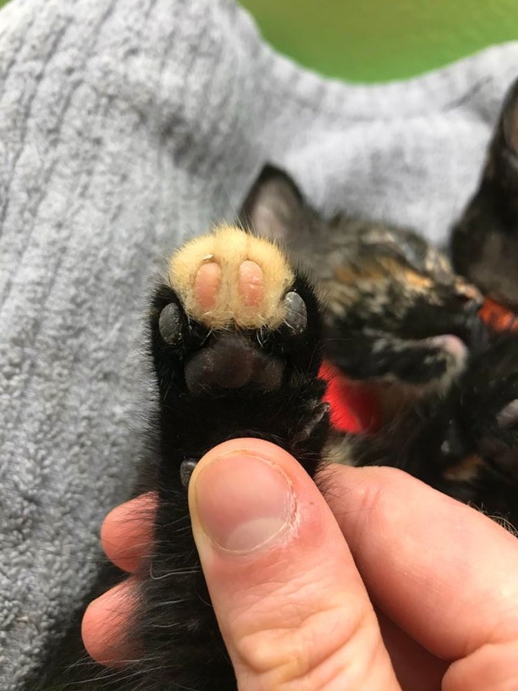 06-20-14-162490048178845131