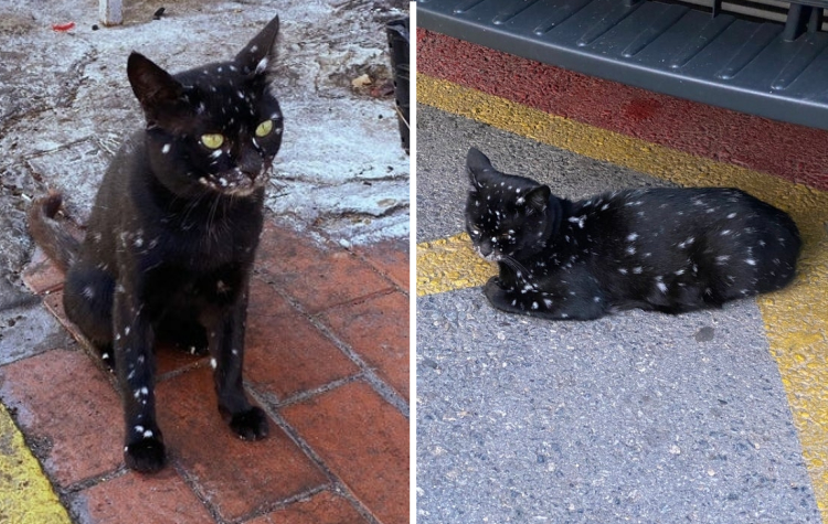 06-20-15-16249005001856246891