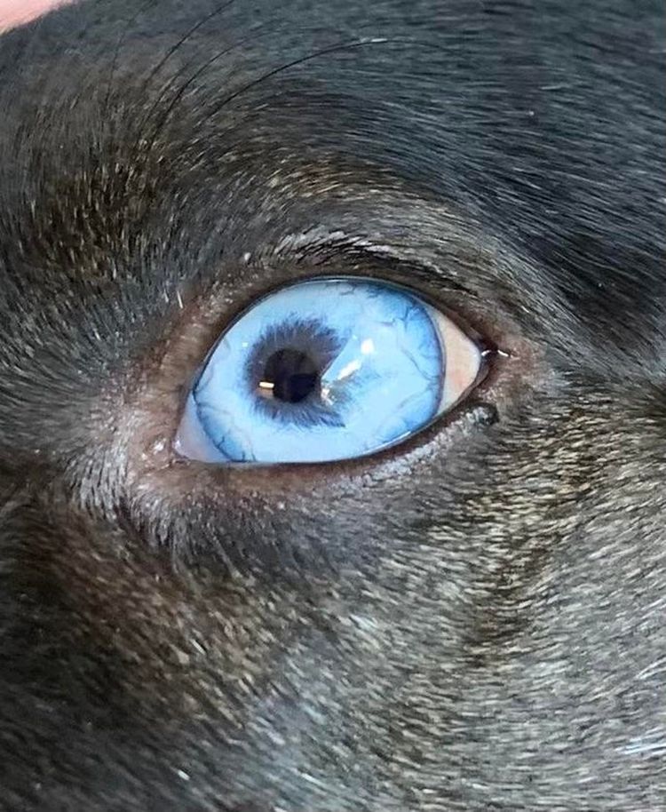 06-20-15-1624900503238492573