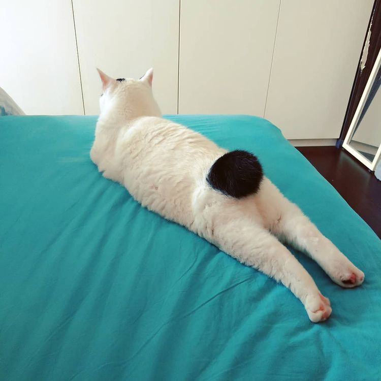 06-20-15-16249005111984369519