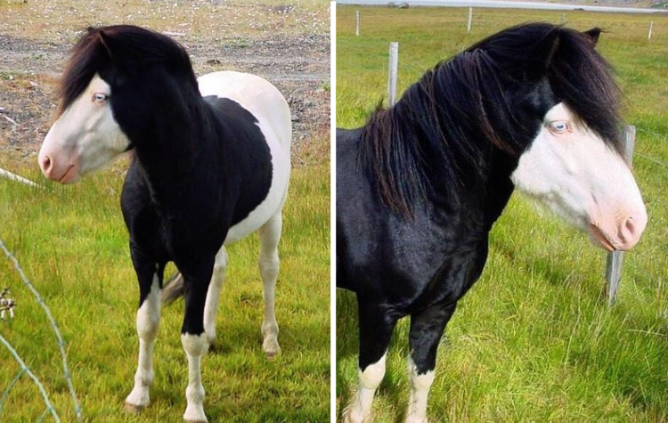 06-20-15-16249005201818129269