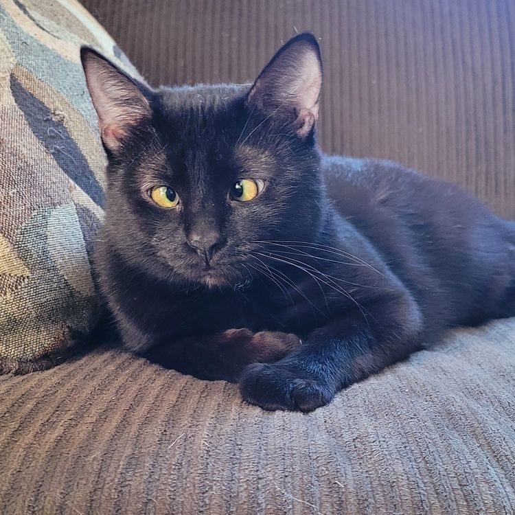 06-20-15-1624900541168646914