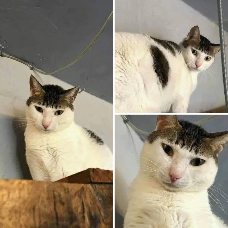 06-20-15-16249005481596290307