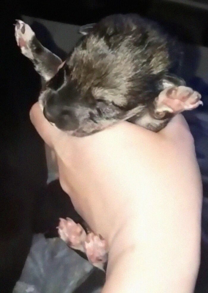 06-20-16-16230861891167447937