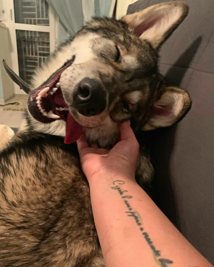 06-20-16-16230861931036610318