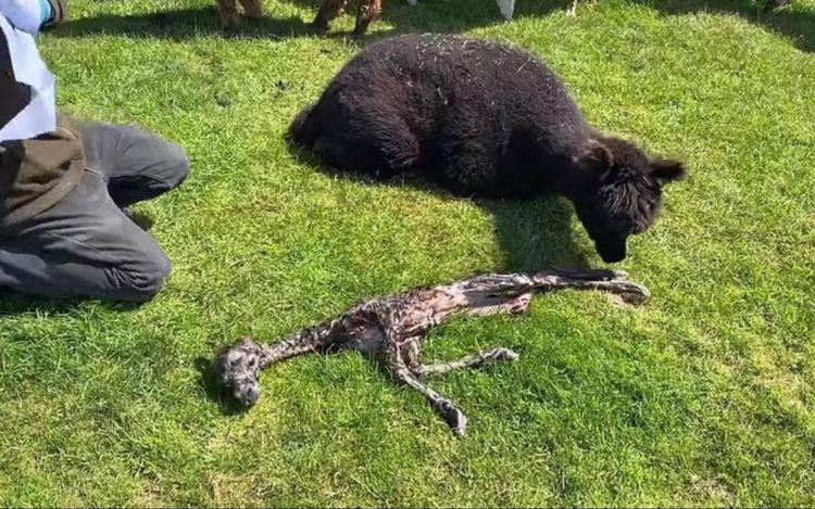 06-21-13-16233488021848396298