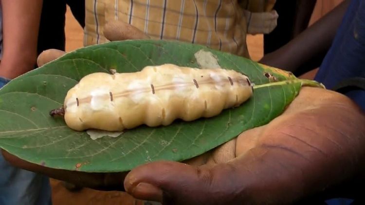 06-21-13-1623348802209095265