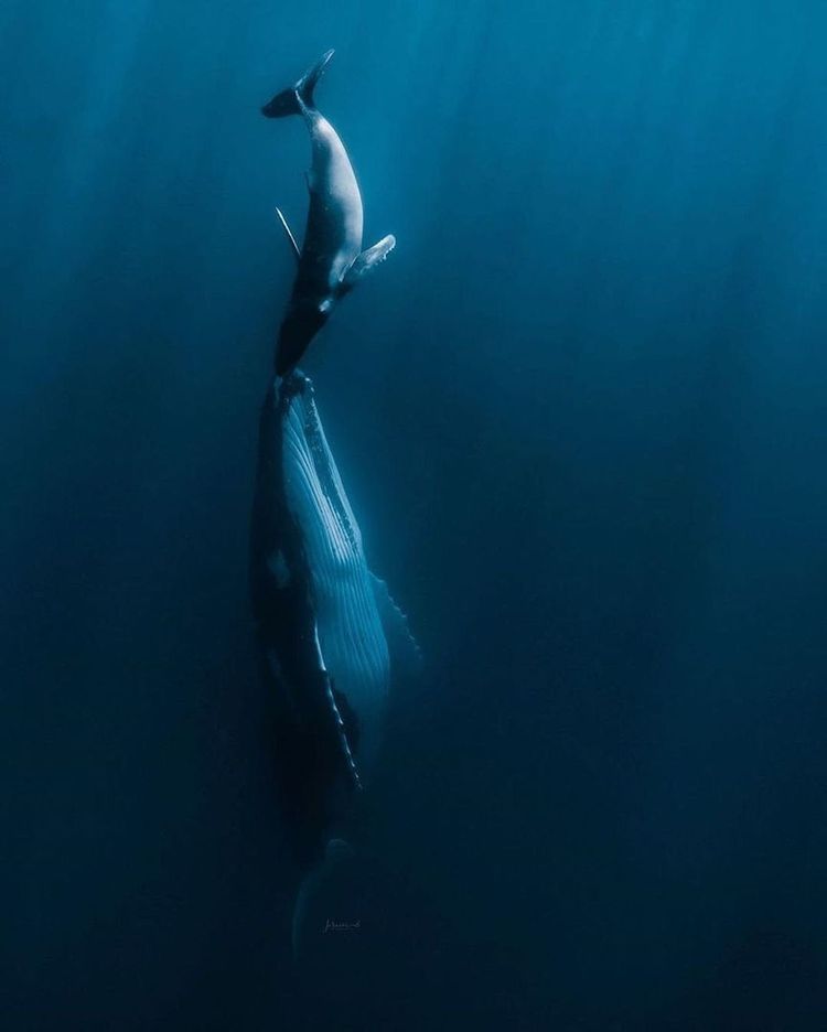 06-21-13-1623348802239270066