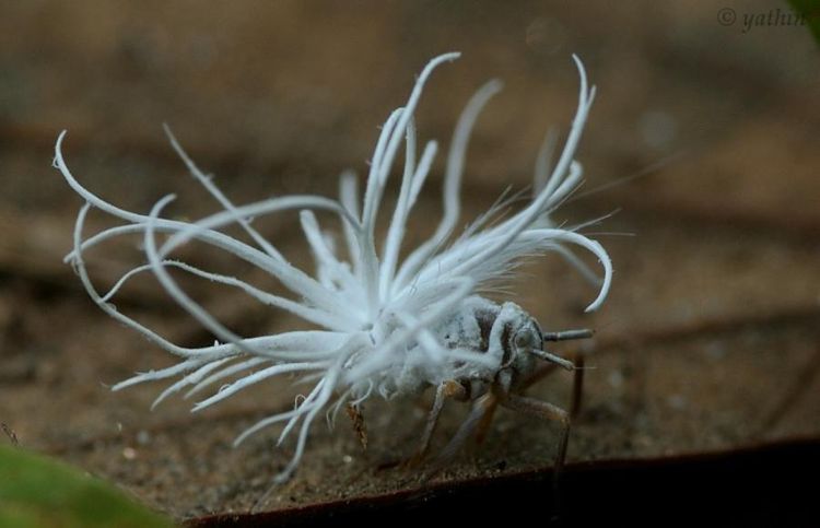 06-21-13-16233488031640850523