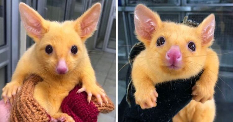 06-21-13-1623348804177059548