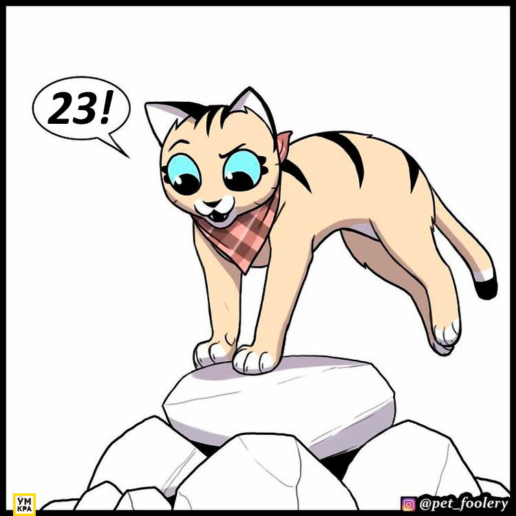 06-21-34-16238684831821265610