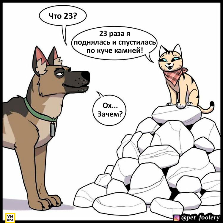 06-21-34-1623868483749575584