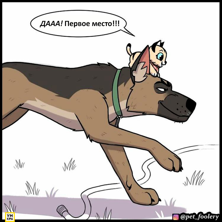 06-21-34-16238684841658330891