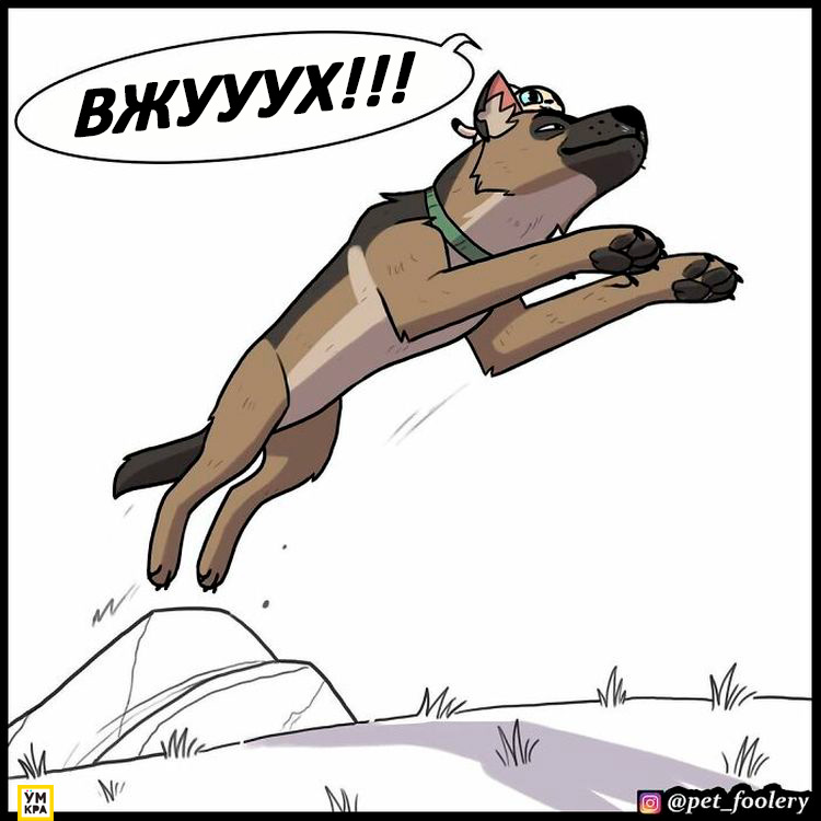 06-21-34-16238684841915682904