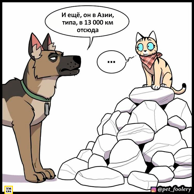 06-21-34-162386848430490112