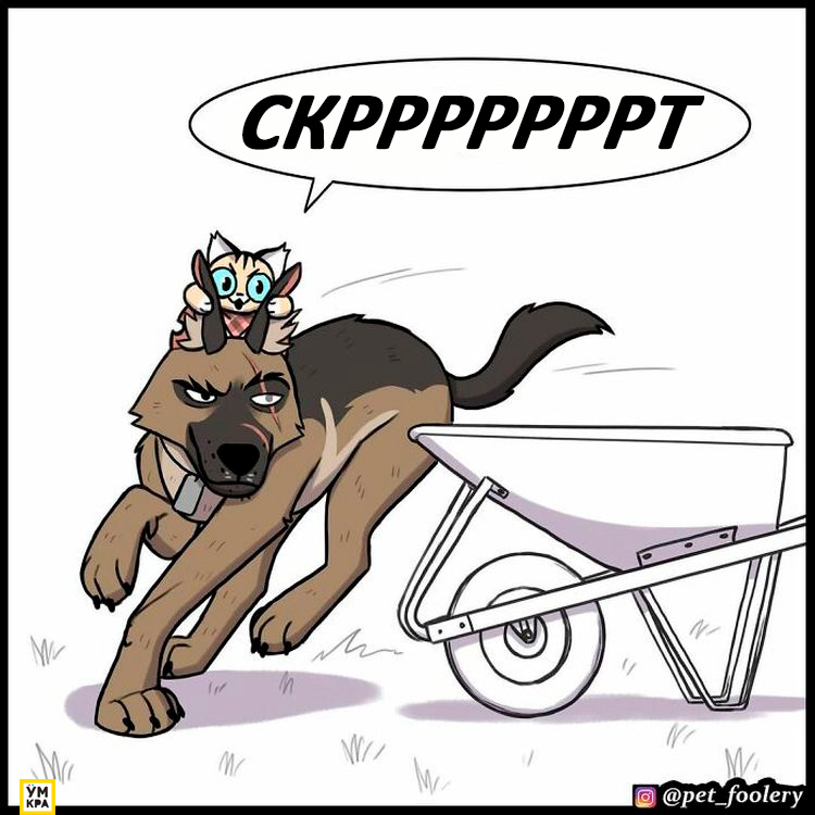 06-21-34-1623868484507059053