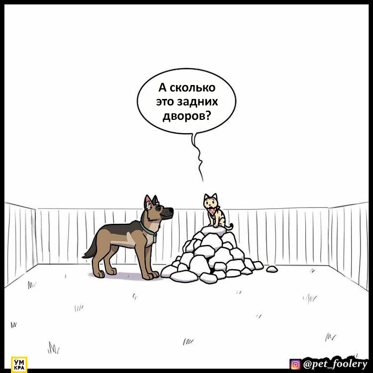 06-21-34-1623868484629703793