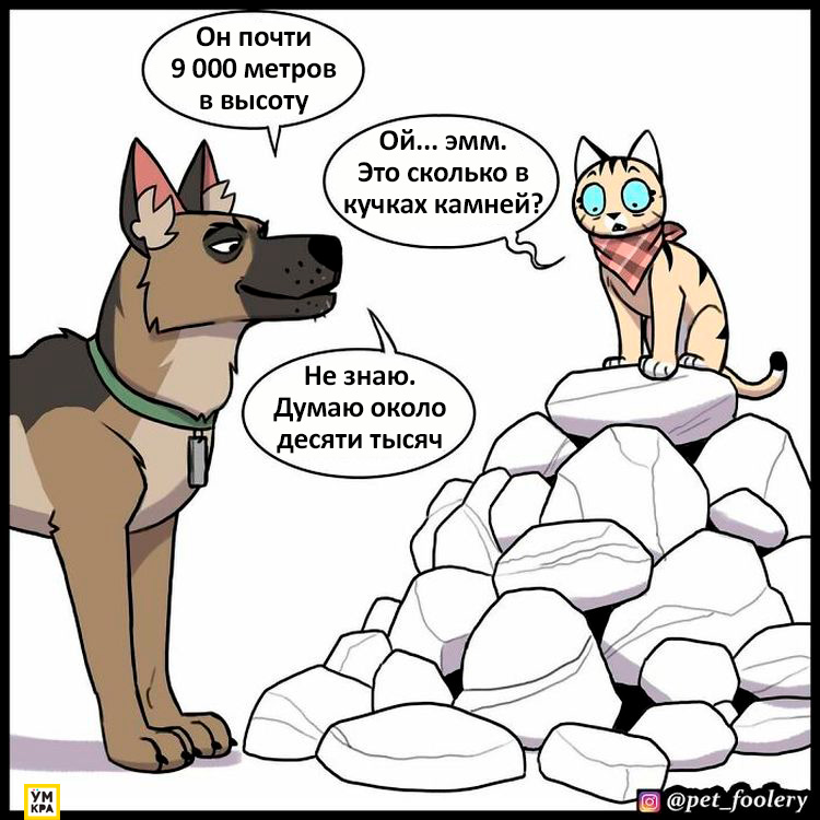 06-21-34-1623868484664375611