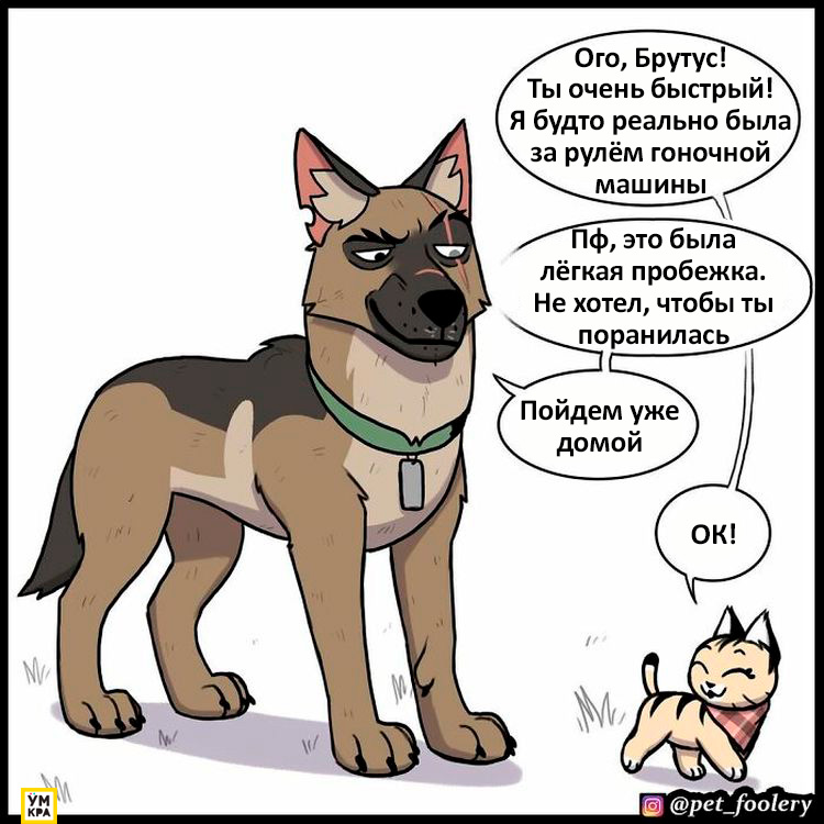 06-21-34-16238684851126393009