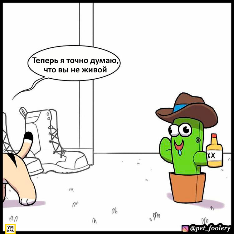 06-21-34-16238684852133566709